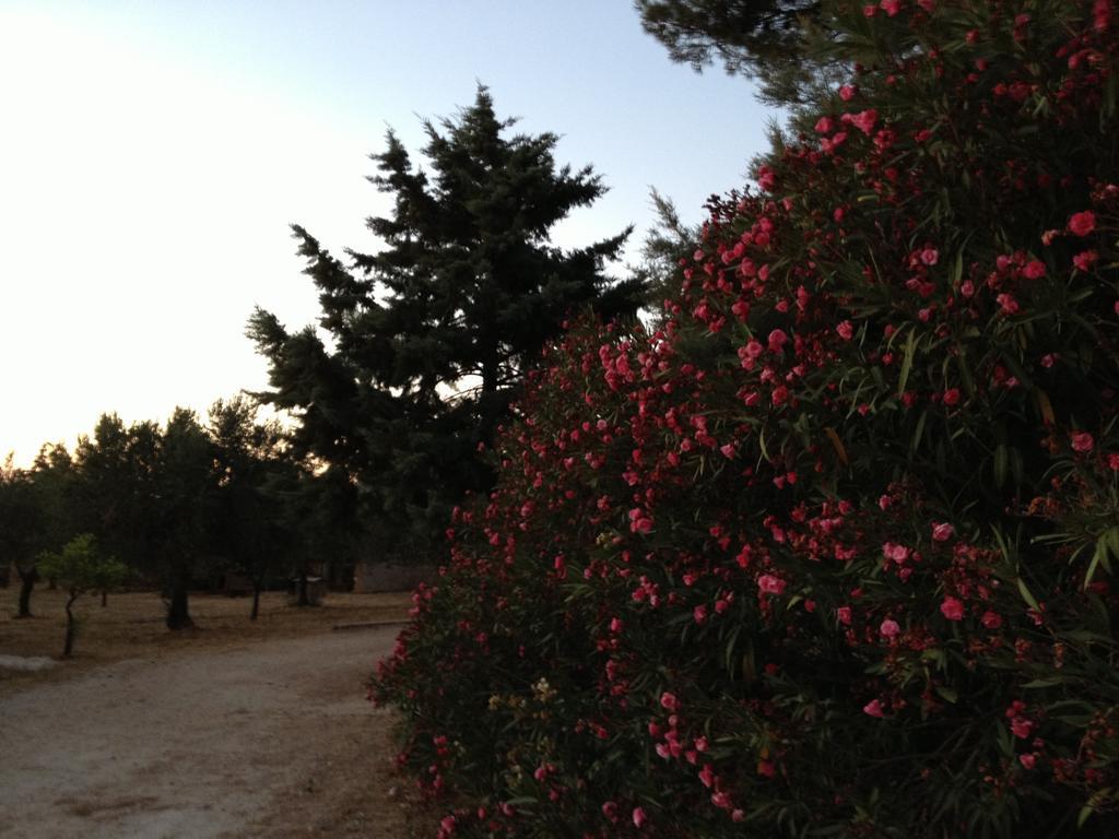 La Giara San Vito Lo Capo Villa Castelluzzo Bagian luar foto